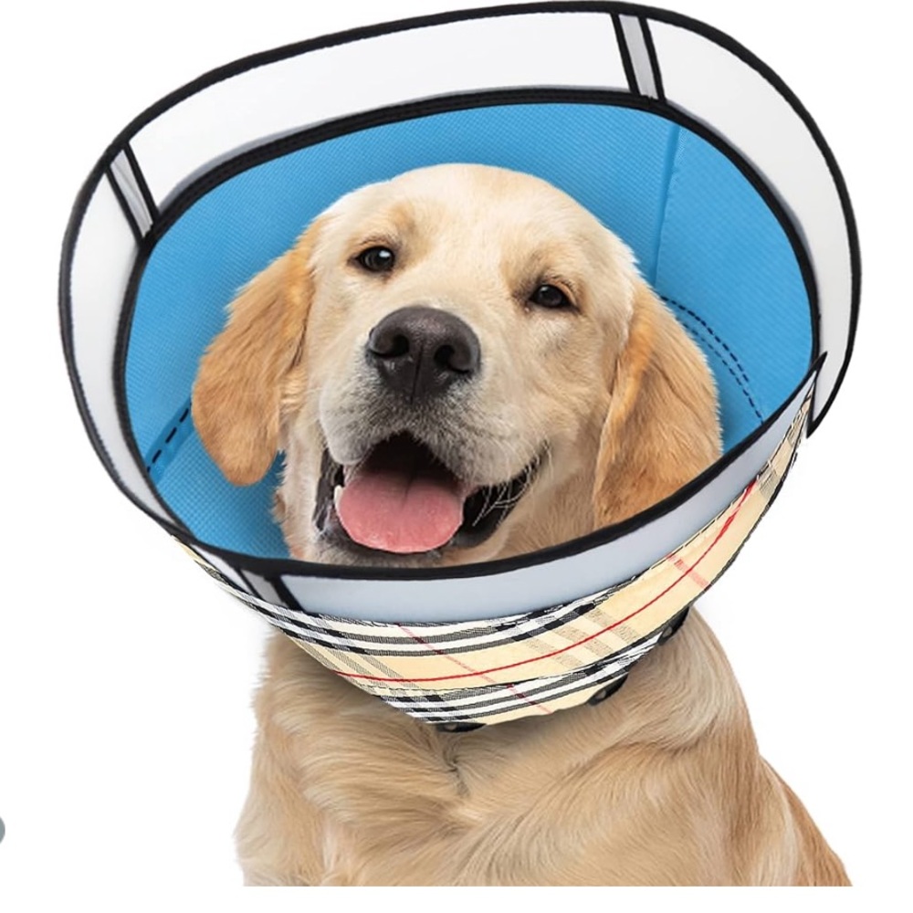 BURBERRY LOOKING DOG CONE, NWT